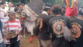 Macan-Macanan Lintang Joyo Kusumo Live Kopen Cungking