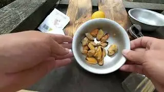 Шашлык из Мидий. Мидии на костре. Мини шашлык из морепродуктов. Мидии на углях