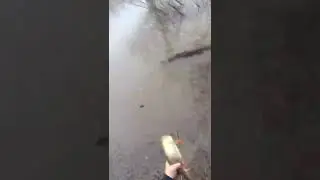 рыбалка на сеть дорожку! сеть мандавошка! 