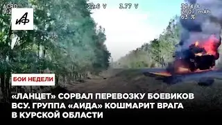 «Ланцет» сорвал перевозку боевиков ВСУ. Группа «Аида» кошмарит врага в Курской области