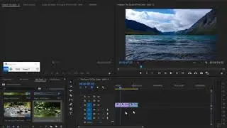 Using Bins and Sequences in Adobe Premiere Pro CC