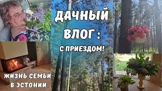 Эстония.Таллинн.Жизнь семьи.Уезжаем на дачу.Дача в Эстонии на Чудском озере.С приездом!Семейный влог