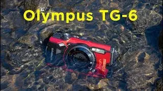 Olympus Tough TG-6 - [5 reasons why it is BETTER than your phone!]