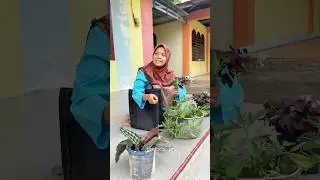 Kebiasaan Ibu-ibu Kalau Main Kerumah Tetangga