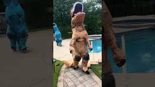 Guys best friends fly across the country to surprise him for his birthday in dinosaur cost