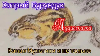 Хитрый Бурундук | Снегирёв Г.Я. | Сказки детям | Для Маленьких | Сказка на ночь 😴 Аудиосказка