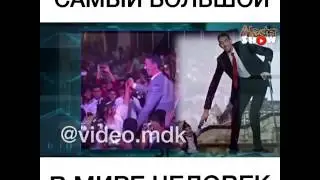 Самый большой человек в мире