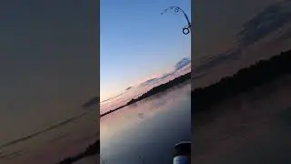 Весенняя рыбалка на ДОНКИ - ЗАКИДУШКИ. Этот ЗВЕРЮГА вырывает УДОЧКУ из РУК. 