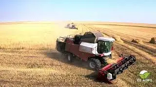 Уборочная кампания. Vectorа с копнителем. Атбасар