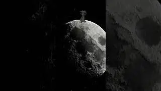 Дракон танцует на Луне🌑 