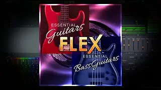 FLEX Essential Guitars & Bass Guitars Highlights 1