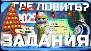 РР4 Новогодние задания!❄️Прохождение всех квестов и Награды!