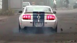 Shelby Mustang GT500 STEEDA Exhaust Little BURNOUT & Acceleration SOUND!!
