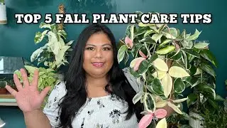 TOP 5 FALL PLANT CARE TIPS & TRICKS: HOW TO PROTECT YOUR PLANTS DURING THE COLD SEASON