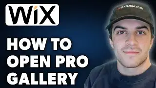 How to Open Wix Pro Gallery (Full 2024 Guide)