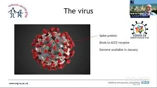 Vaccines for the control of COVID-19 - Prof Andrew Pollard