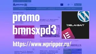 PROMO WPRIPPER ГДЕ ВЗЯТЬ ELEMENTOR