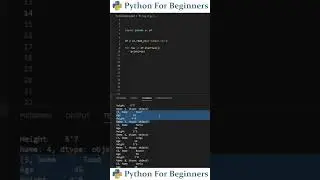 Iterate A CSV File Using Pandas | Python For Beginners