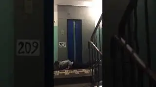 Судный день 2. Кодовое 209
