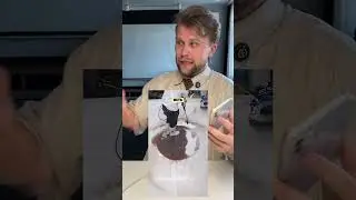 Как набрать 43 млн просмотров и 1,5 млн подписчиков с помощью ASMR, быстрого монтажа и ковра🤝🏻