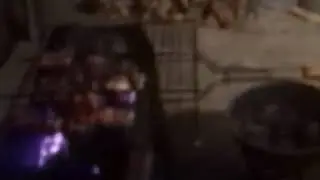 Шашлики жараться! Песик! Блогер Михайло