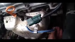 Замена антифриза на автомобиле Nissan