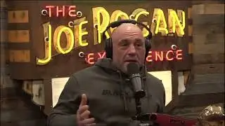 Joe Rogan: Dragons might have been REAL!!