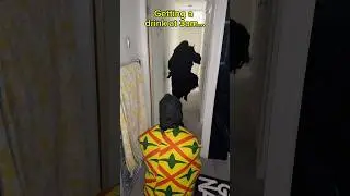 Bros being sneaky AGAIN 😂 