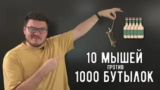 ✓ 10 мышей против 1000 бутылок | Ботай со мной #136 | Борис Трушин