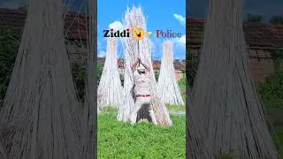 Fas Gaya Police 😅 