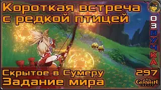 Короткая встреча с редкой птицей 💥 Изучение фауны |297