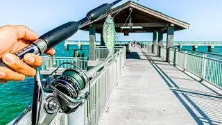 Fishing Big Bait