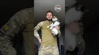 🔥Кіт як дитинка
