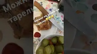 Рекс нитроб и пмд 550 тест против тарелок😂