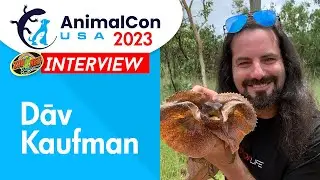Dāv Kaufman Interview - AnimalCon USA 2023