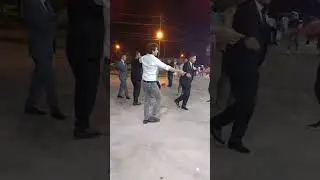 Küçük Çaplı Tokat Sarması..