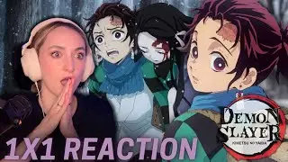 I Watched *DEMON SLAYER* for the FIRST TIME And...