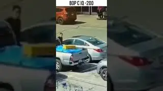 Вор-гений