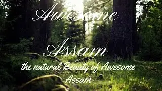 awesome assam | assam | assam tourism | assamese || trip