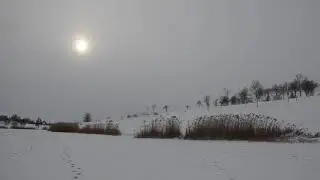Домаза, январь, Лозовая