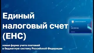 Единый налоговый счет, уведомление об исчисленных суммах, платежные документы