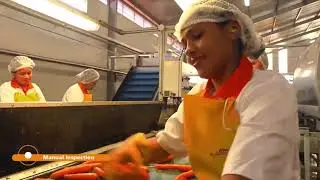 Мойка моркови, полировка моркови, сортировка моркови, упаковка моркови - промышленная линия Allround