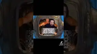 Губка Боб смотрит как стрей качается