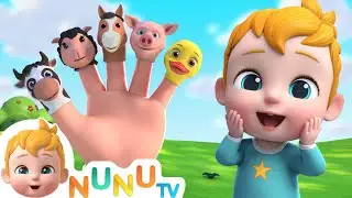 Finger Family Animal Version + More Toddler Songs | NuNu Tv & Nursery Rhymes