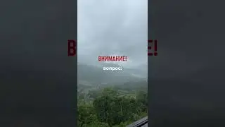Что  нельзя делать на Шри-Ланке?✨🏝️