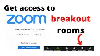 Set up ZOOM BREAKOUT ROOMS (ideal for small groups)