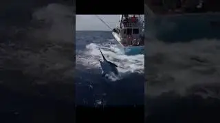 Cool Fishing! Мерлин (на Крючке!) Вот рыбалка!
