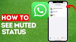 How To See Muted Status In Whatsapp (New Update) - Easy Guide