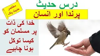 Dars e  Hadees (Hadee | Dars Hadith | Hadees About Tawakkul | Firm Believe in Allah