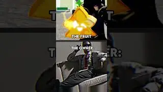 Fruits & Their Owner IN Blox Fruits.. 